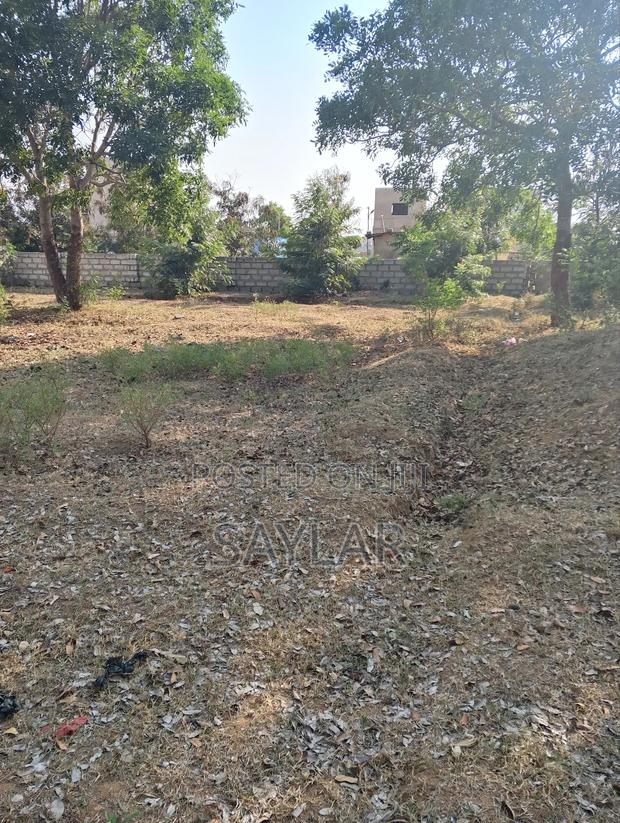 2 Plots Already Fenced Close to the Chief Palace for Sale · Photo 5