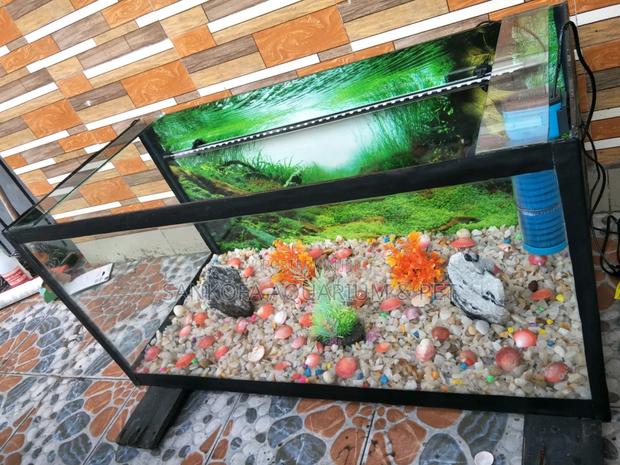3 Feet Customize Aquarium Package With Accessories · Photo 1
