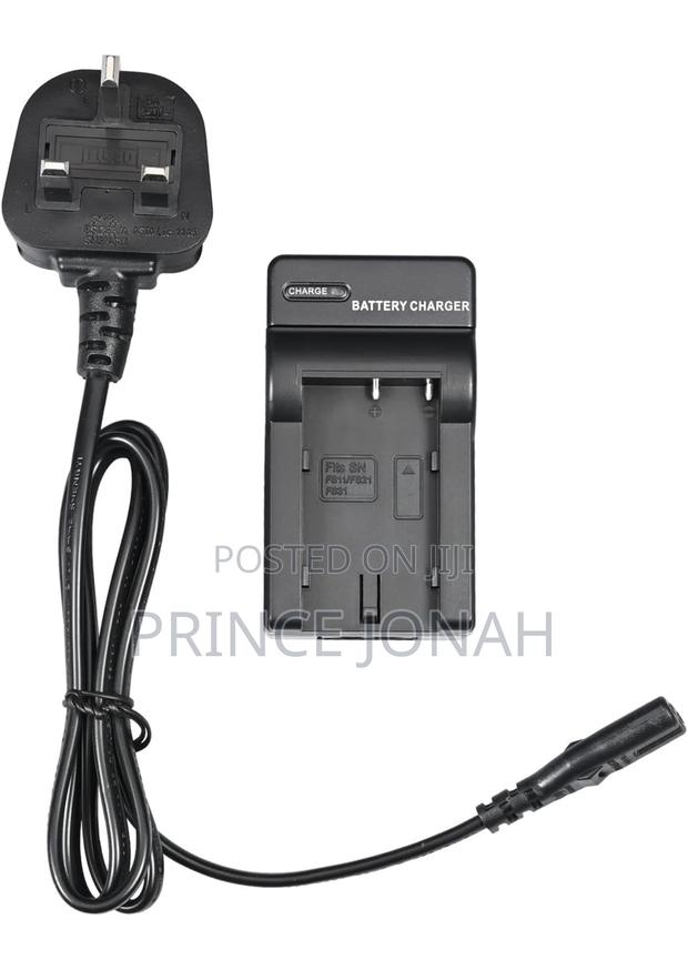 Dste Battery Charger for Sony Np-Fs11 Np-Fs21 Np-Fs31 Np-Fs12 Np-Fs22 · Photo 1