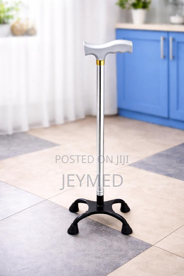 Tetrapod Walking Stick(Quade Cane) · Photo 2