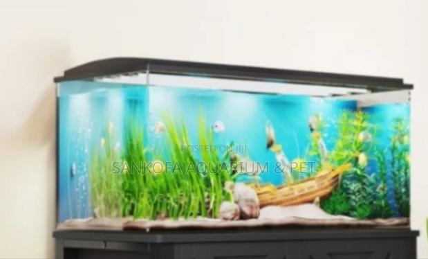 Aquarium Fish Tank With Accessories · Photo 1