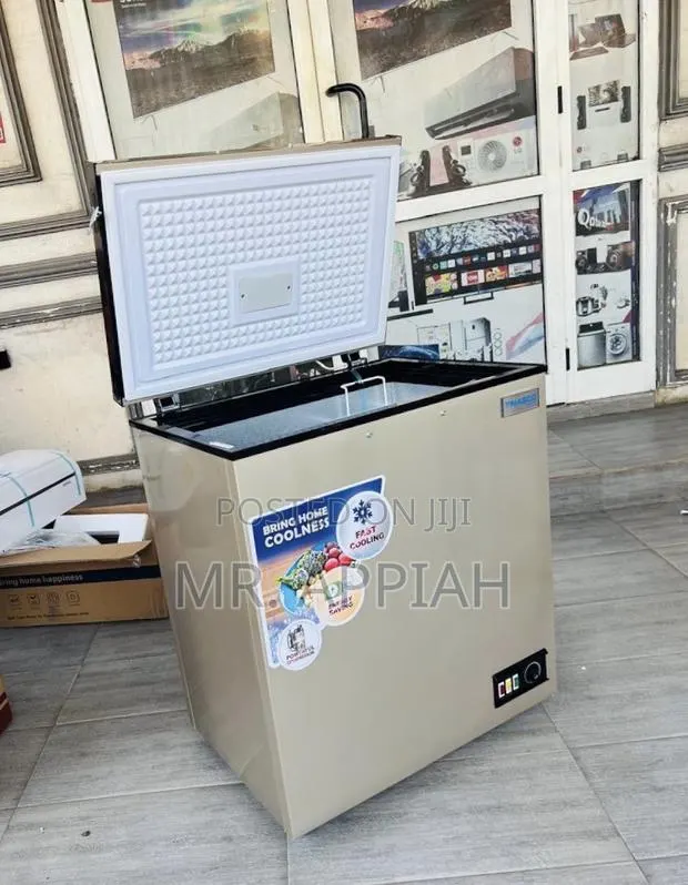 Shop Durable Nasco 138l Electric Chest Freezer(Nas-175fl)Gold · Photo 1