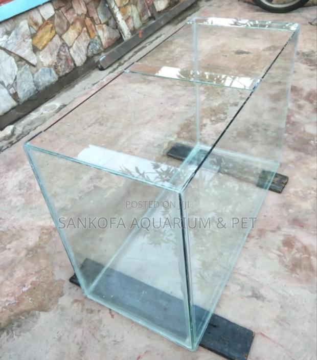 Aquarium Point Kill Fish Tank · Photo 1