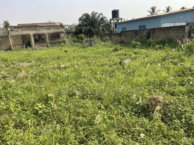 Land for Sale at Amasaman Going for 300,000 Cedis · Photo 5