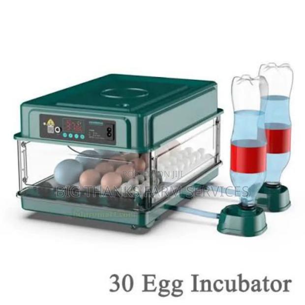 30 Capacity Incubator · Photo 1