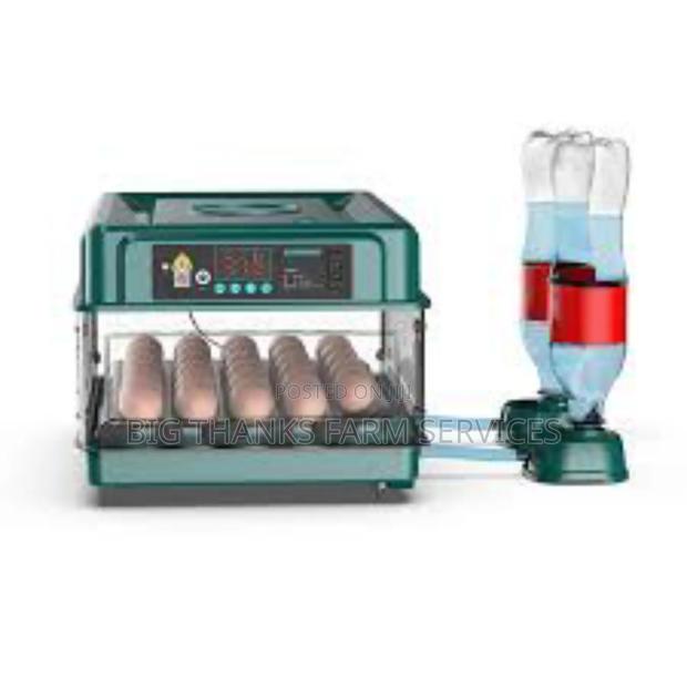 30 Capacity Incubator,Dual Power · Photo 1