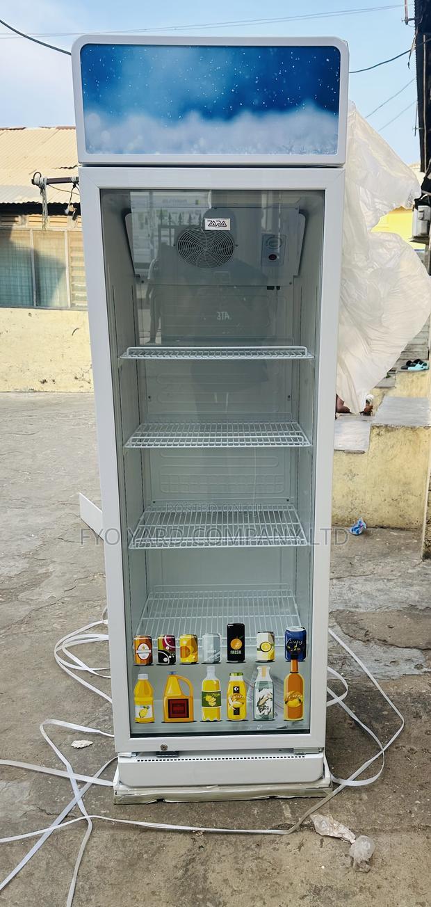 Quality Made Zara 300l Fast Reliable Cooling Display Fridge · Photo 1