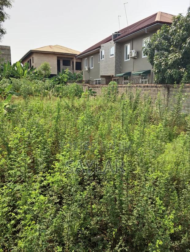 Full Plot Fenced With Gate for Hot Sale Comm25 · Photo 4