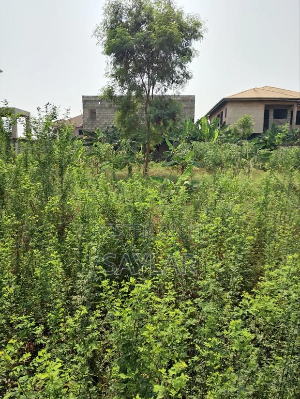 Full Plot Fenced With Gate for Hot Sale Comm25 · Photo 5