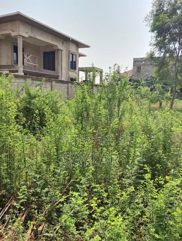 Full Plot Fenced With Gate for Hot Sale Comm25 · Photo 6
