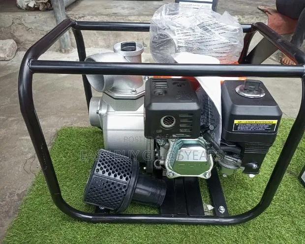 Leo Water Pump Peripheral 6.5hp High Pressure Water Supply. · Photo 1