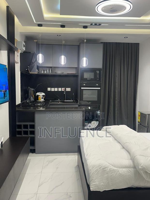 Furnished 1bdrm Apartment in Palace Mall Area, East Legon for rent · Photo 3