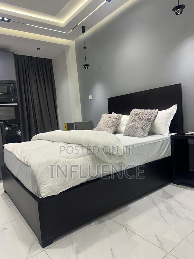 Furnished 1bdrm Apartment in Palace Mall Area, East Legon for rent · Photo 6
