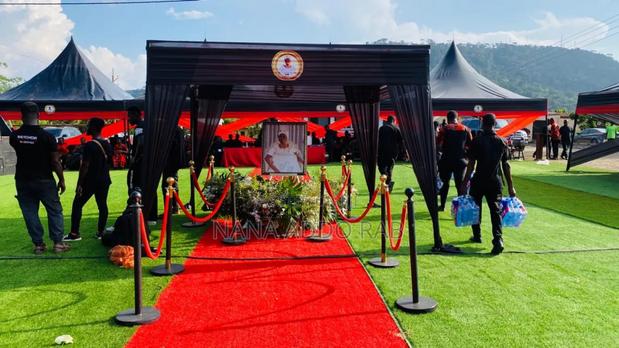 Green Carpet and Decorations for Events · Photo 1