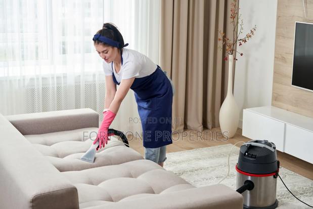 Sofa ,Chairs and Mattreses Cleaning and Stain Removal With Cleantex · Photo 2