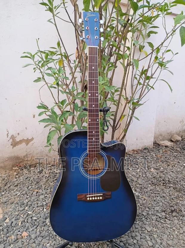 Freedom Fag640ceq/BLS Semi Acoustic Guitar With Padded Bag · Photo 1