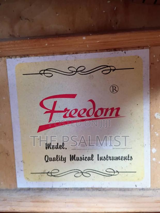 Freedom Fag640ceq/BLS Semi Acoustic Guitar With Padded Bag · Photo 3