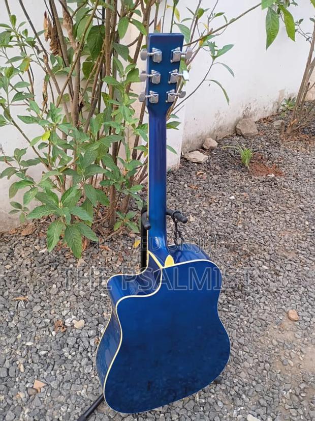 Freedom Fag640ceq/BLS Semi Acoustic Guitar With Padded Bag · Photo 4