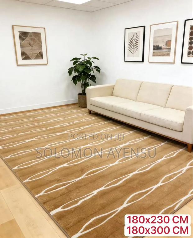 Quality Design Rabbit Hair Carpet Available in Different Colours · Photo 4