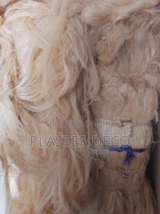 Fiber for Pop · Photo 2