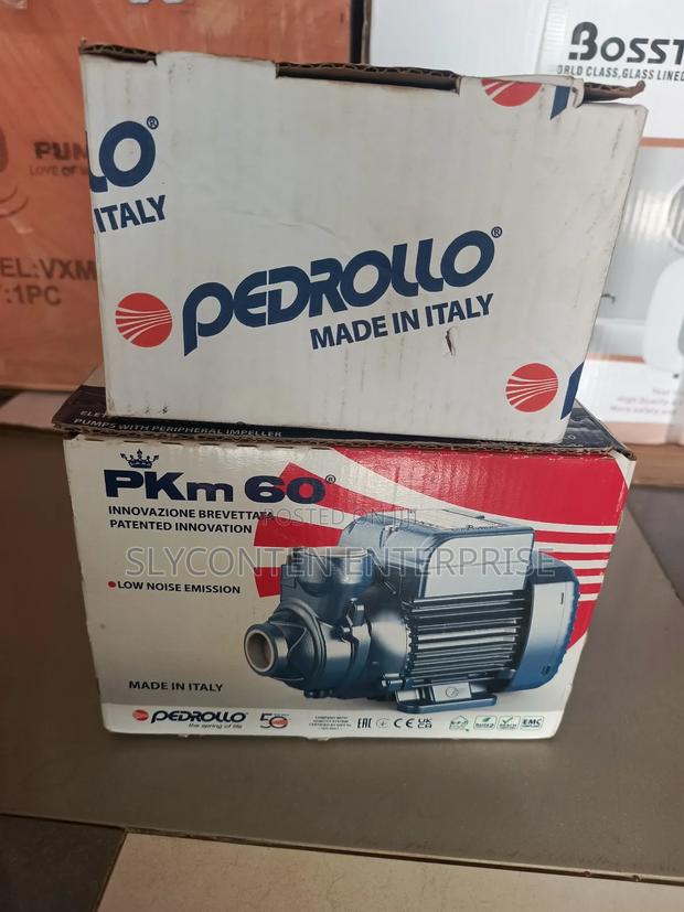 Pedrollo 0.5hp Automatic Water Pump · Photo 4