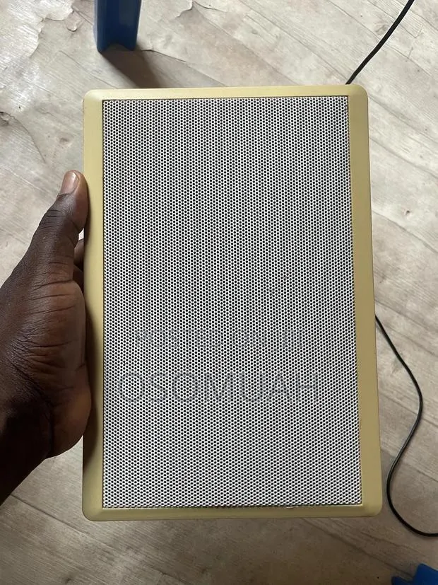 Flat Speakers for Walls · Photo 1