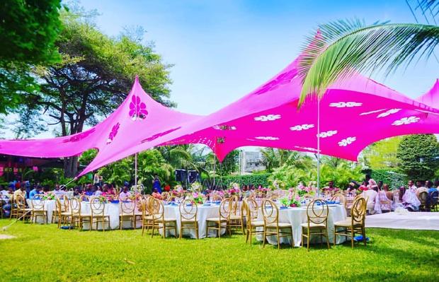 Cheese Tent Canopy · Photo 4