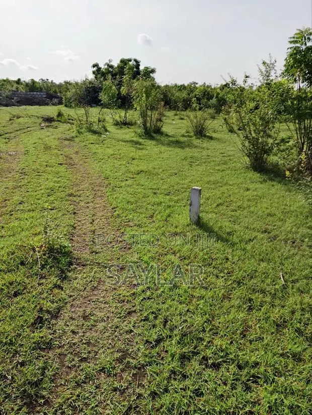 Over 400 Acres of Demarcated Lands Afienya Main Road Side for Sale · Photo 1