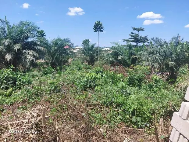 8 Plots of Land for Sale in Assin Foso Township · Photo 1