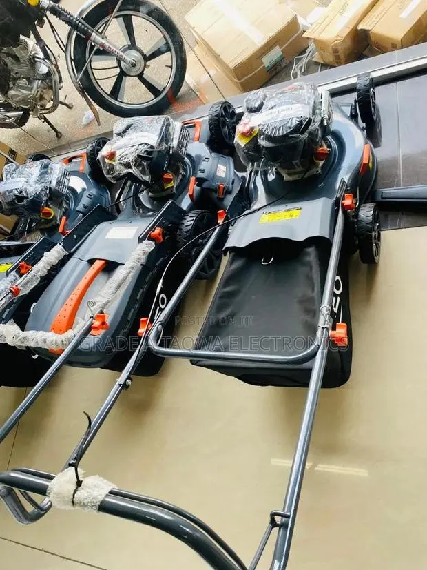 Lasting Leo 4hp Lawn Mower · Photo 1
