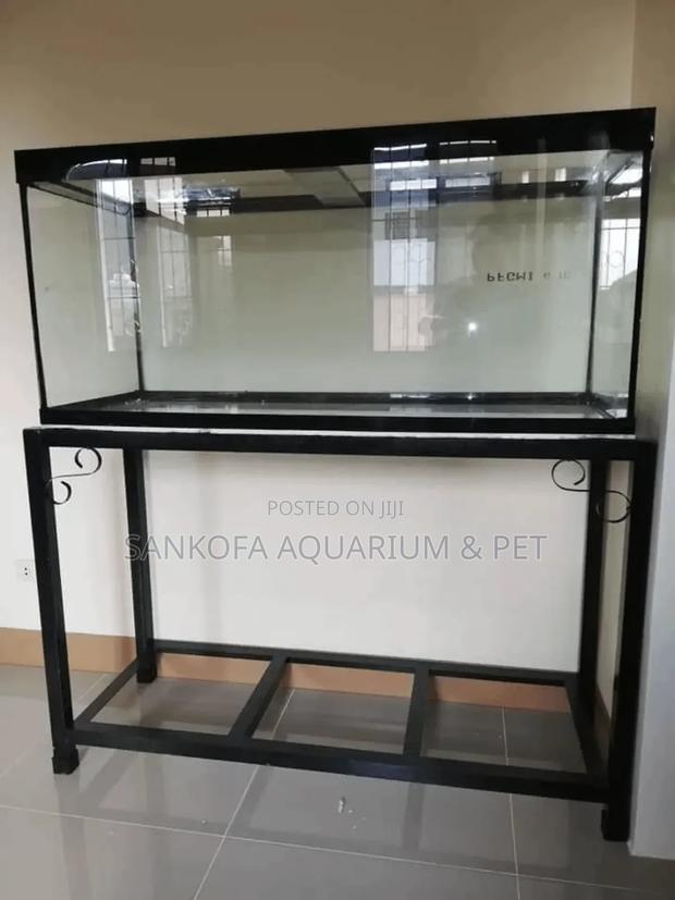Point Kill Empty Fish Tank · Photo 1