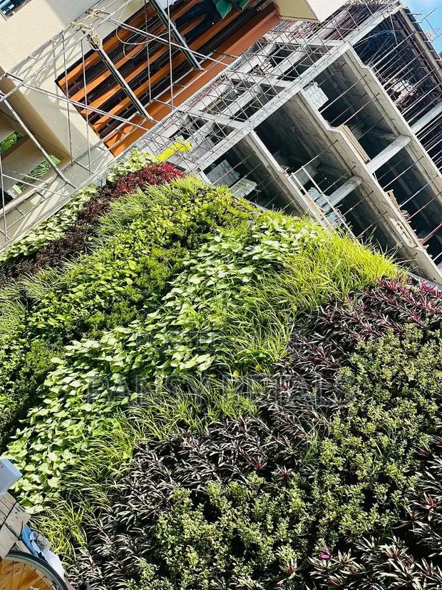 Greenwall/Vertical Garden · Photo 1