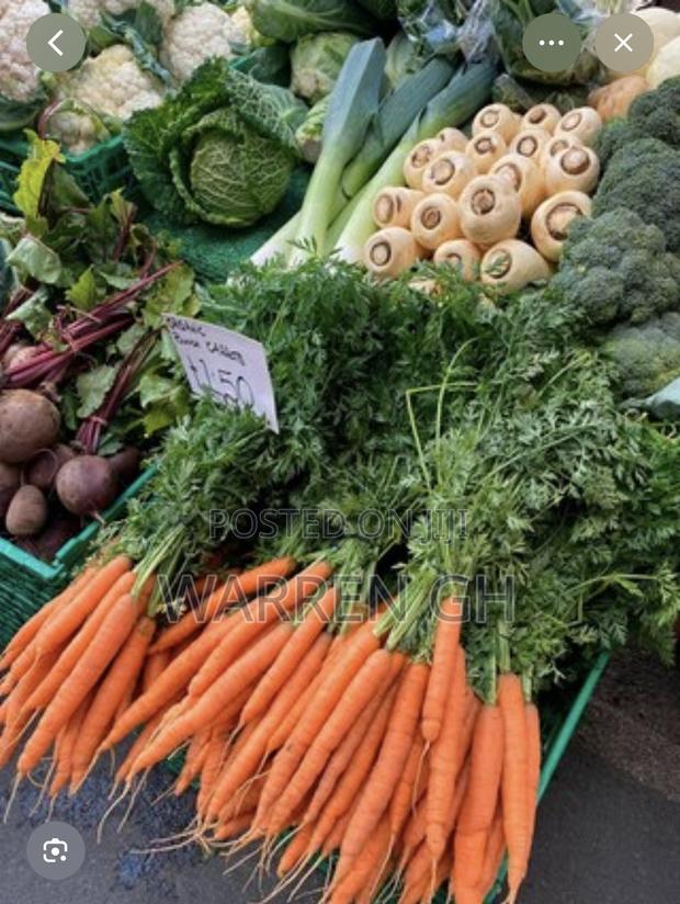 Organic Food and Vegetables · Photo 3