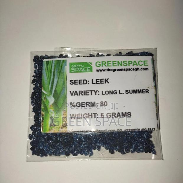 Leek Seeds · Photo 1
