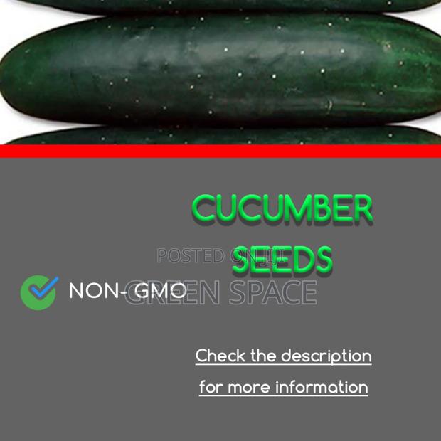Cucumber Seeds · Photo 2