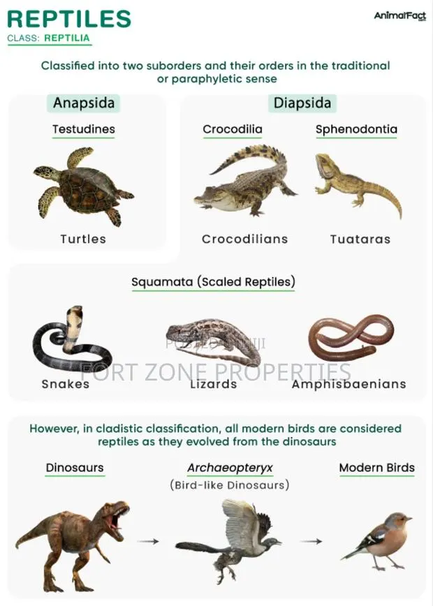 Get Rid of All Pest From Homes and Office Today · Photo 1