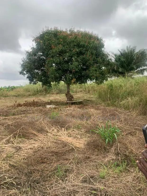 Car for Land Deal Plots of Lands for Sale. Walled and Gated. · Photo 1