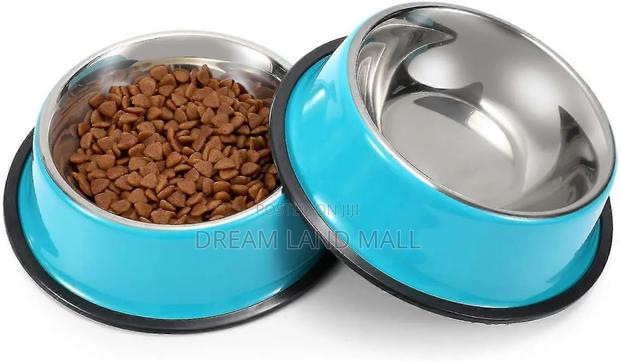 Pet Eating Drinking Bowl · Photo 1