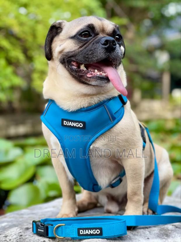 Harness for Poppies Big Dogs · Photo 1