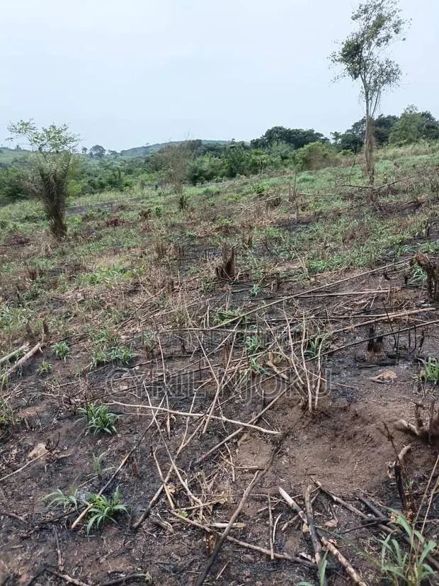 Plot of Land for Sale in Aburi Tutu · Photo 1