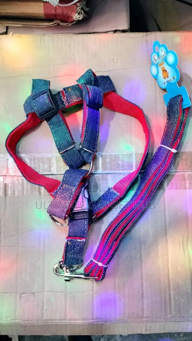 Dog Leash (Denim) · Photo 1