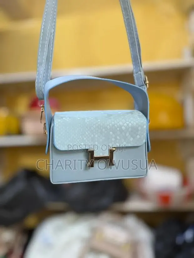 Ladies Handbags · Photo 1