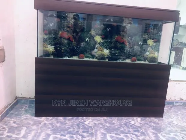 Coffee Aquarium With Fishes · Photo 1