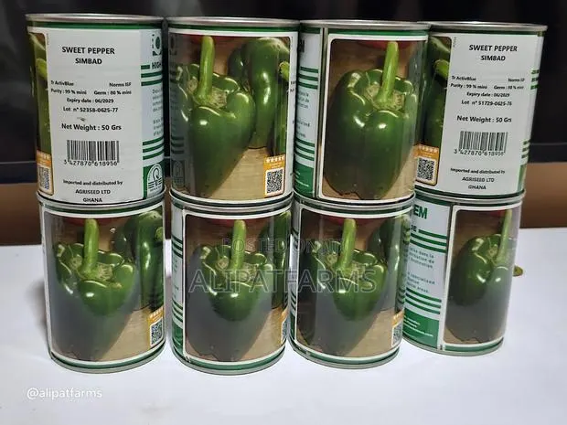 Bell Pepper Simbad · Photo 1