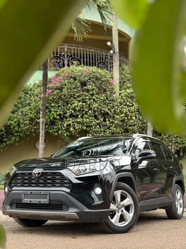 Toyota RAV4 XLE 2021 Black · Photo 1
