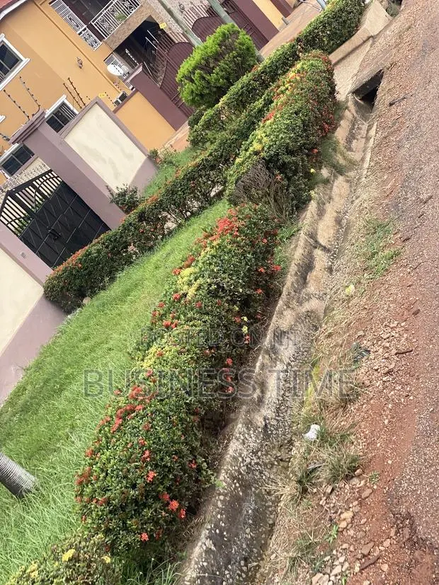 Garden, Planning Flowers and Green Grass · Photo 1