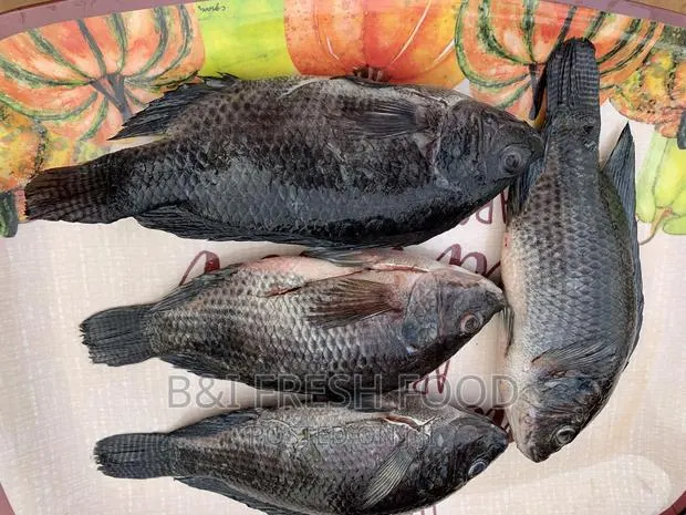 Local Fresh Tilapia · Photo 1