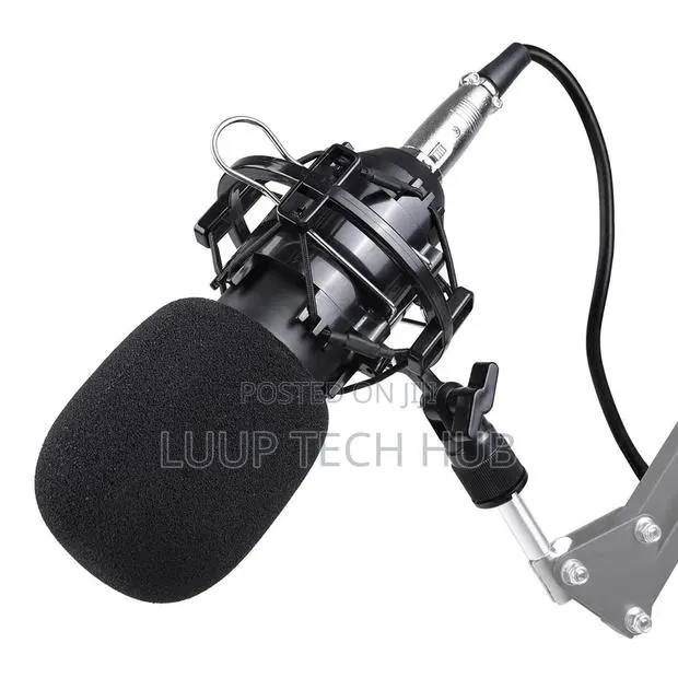 Bm800 Condenser Microphone · Photo 1