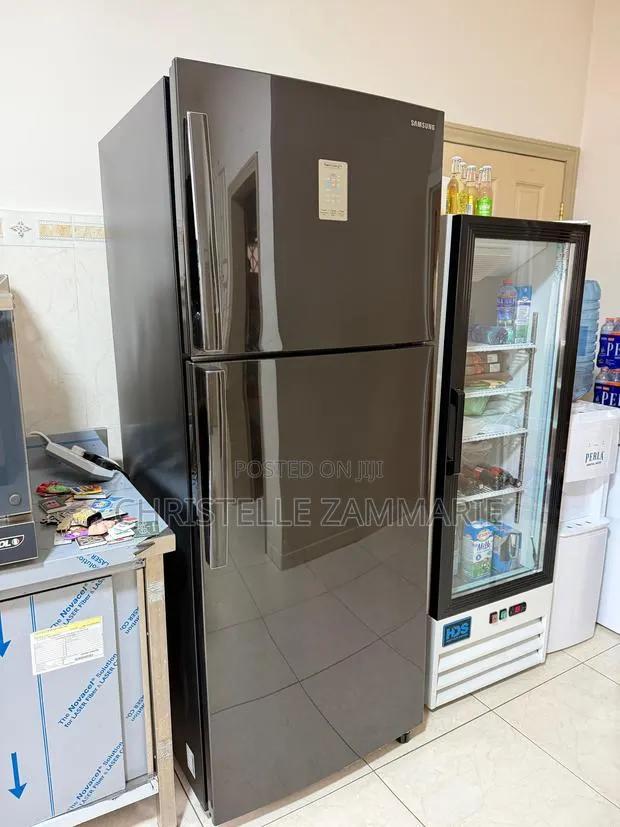 Samsung Fridge Freezer Standing · Photo 1