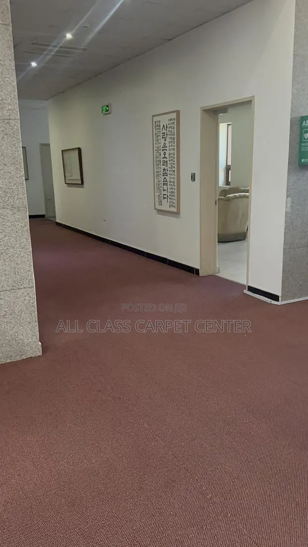 Dark Brown Carpet for Offices and Auditoriums · Photo 1
